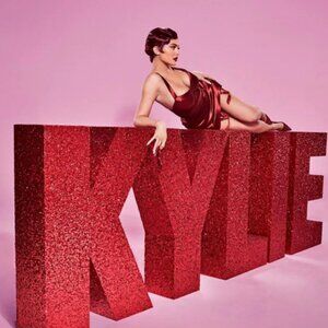 MURMUR Crop Top In Red Burgundy  - As Seen on Kylie Jenner